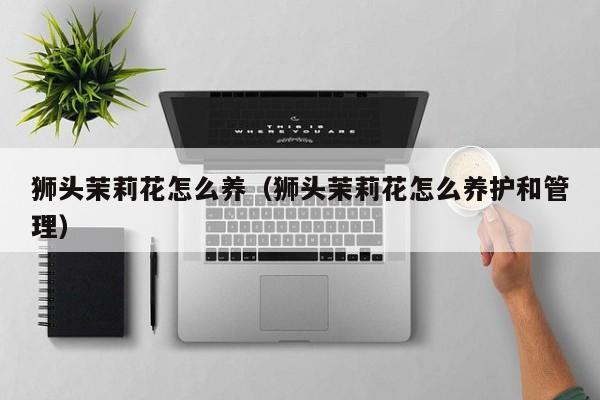 狮头茉莉花怎么养（狮头茉莉花怎么养护和管理）