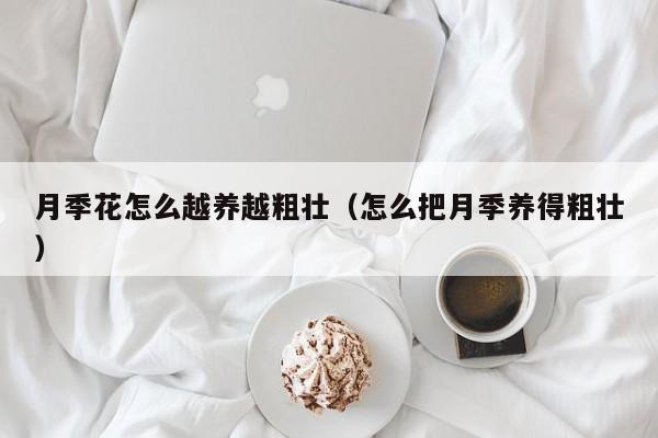 月季花怎么越养越粗壮（怎么把月季养得粗壮）