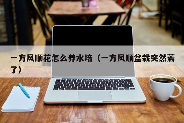 一方风顺花怎么养水培（一方风顺盆栽突然蔫了）