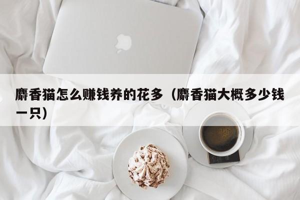 麝香猫怎么赚钱养的花多（麝香猫大概多少钱一只）