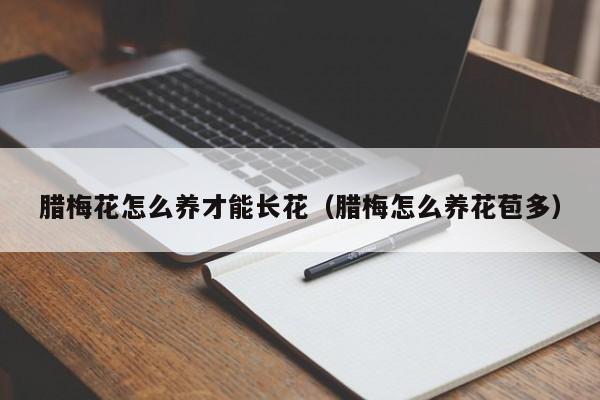 腊梅花怎么养才能长花（腊梅怎么养花苞多）