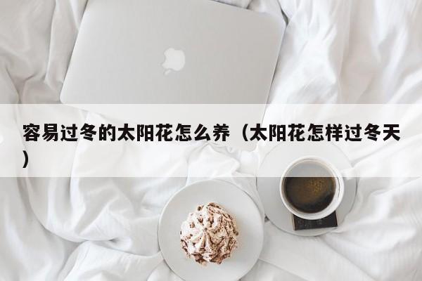 容易过冬的太阳花怎么养（太阳花怎样过冬天）