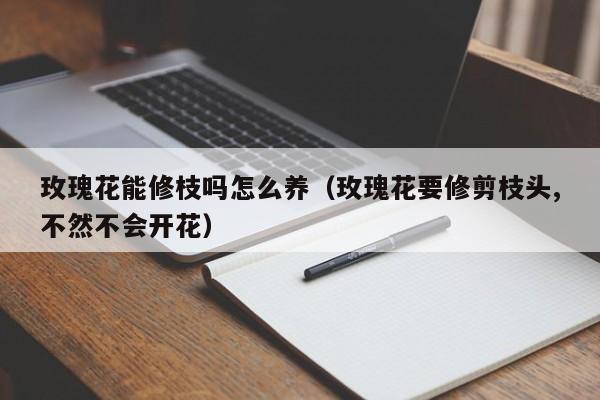 玫瑰花能修枝吗怎么养（玫瑰花要修剪枝头,不然不会开花）