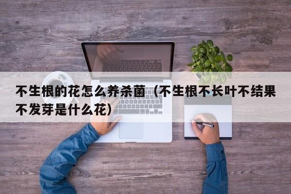 不生根的花怎么养杀菌（不生根不长叶不结果不发芽是什么花）