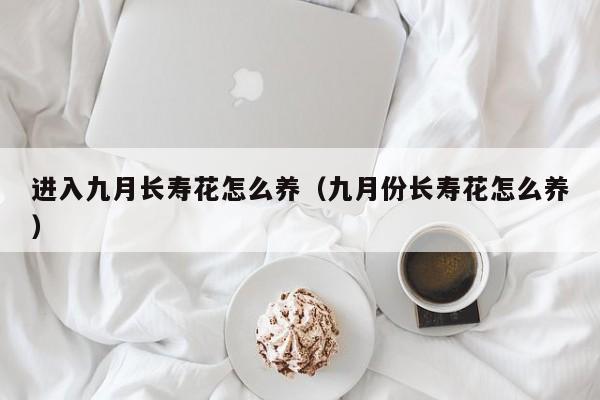 进入九月长寿花怎么养（九月份长寿花怎么养）