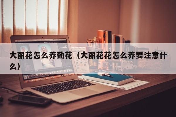 大丽花怎么养勤花（大丽花花怎么养要注意什么）