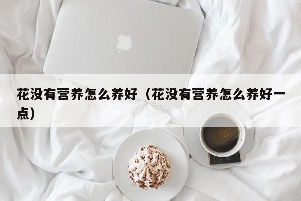 花没有营养怎么养好（花没有营养怎么养好一点）