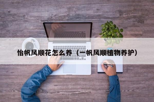 怡帆风顺花怎么养（一帆风顺植物养护）
