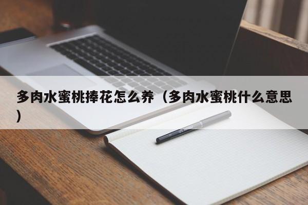 多肉水蜜桃捧花怎么养（多肉水蜜桃什么意思）