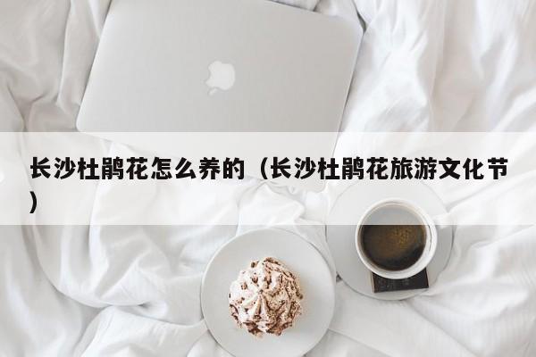 长沙杜鹃花怎么养的（长沙杜鹃花旅游文化节）