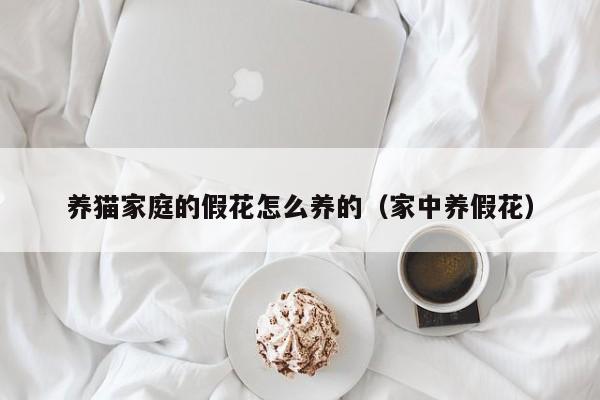 养猫家庭的假花怎么养的（家中养假花）