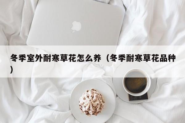 冬季室外耐寒草花怎么养（冬季耐寒草花品种）