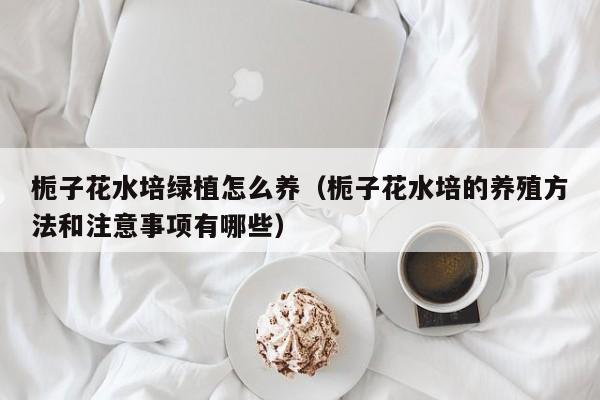 栀子花水培绿植怎么养（栀子花水培的养殖方法和注意事项有哪些）