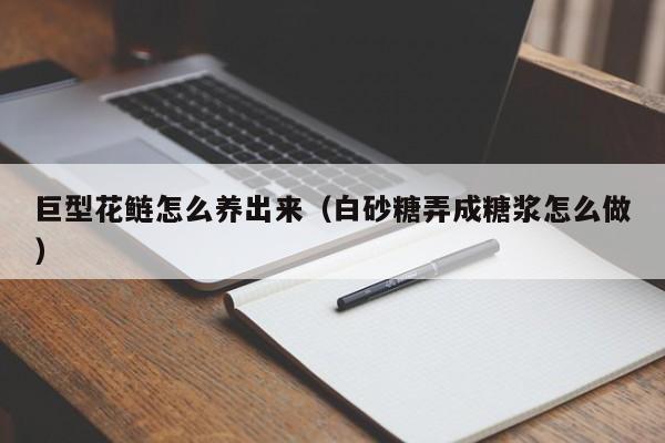 巨型花鲢怎么养出来（白砂糖弄成糖浆怎么做）