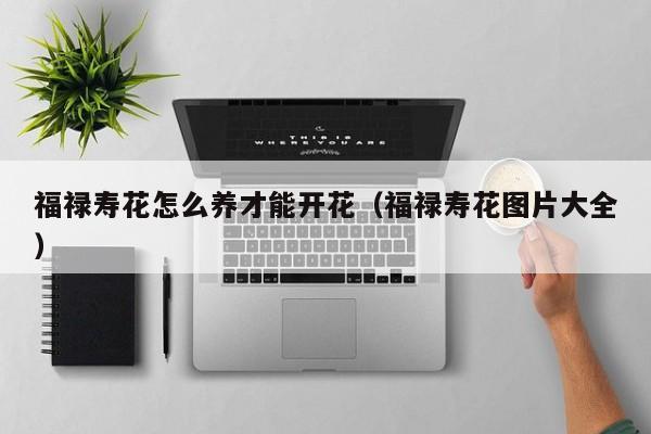 福禄寿花怎么养才能开花（福禄寿花图片大全）