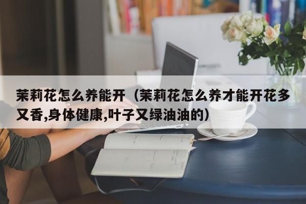 茉莉花怎么养能开（茉莉花怎么养才能开花多又香,身体健康,叶子又绿油油的）