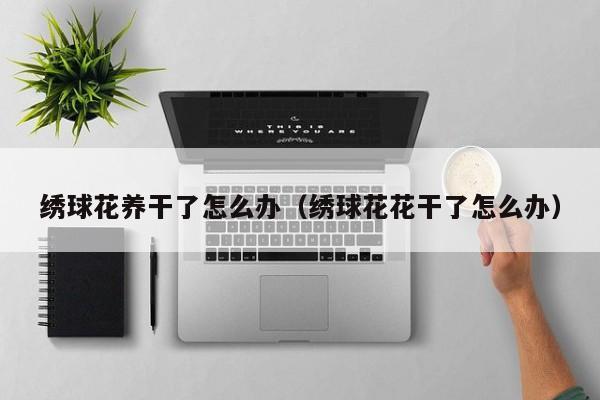 绣球花养干了怎么办（绣球花花干了怎么办）