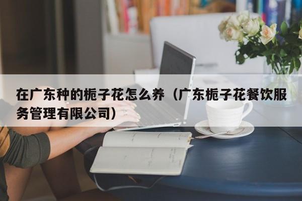 在广东种的栀子花怎么养（广东栀子花餐饮服务管理有限公司）