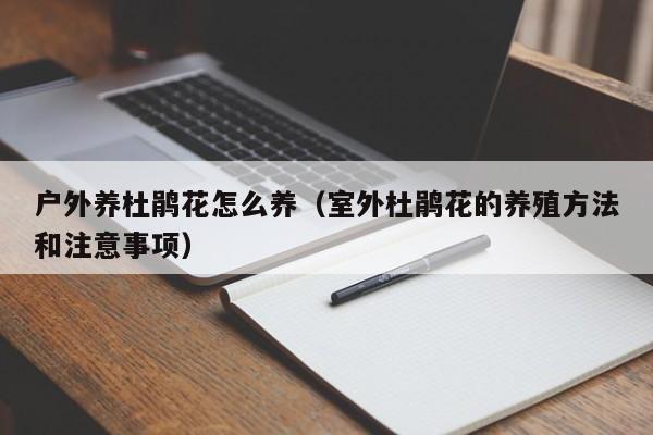 户外养杜鹃花怎么养（室外杜鹃花的养殖方法和注意事项）