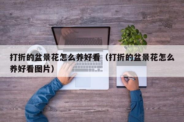 打折的盆景花怎么养好看（打折的盆景花怎么养好看图片）