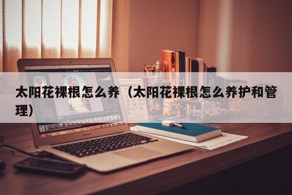 太阳花裸根怎么养（太阳花裸根怎么养护和管理）
