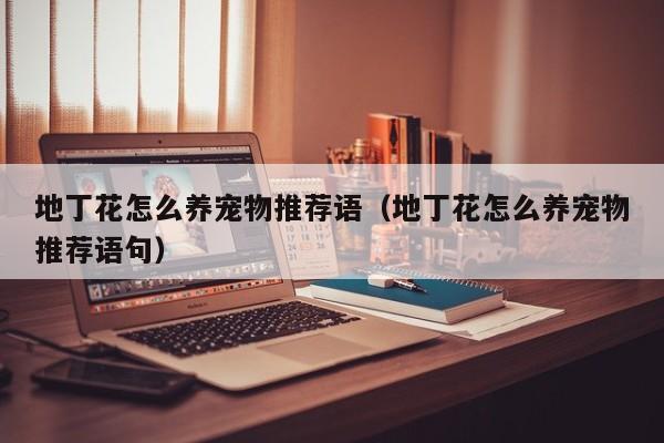 地丁花怎么养宠物推荐语（地丁花怎么养宠物推荐语句）
