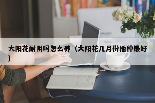 大阳花耐阴吗怎么养（大阳花几月份播种最好）