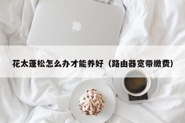 花太蓬松怎么办才能养好（路由器宽带缴费）
