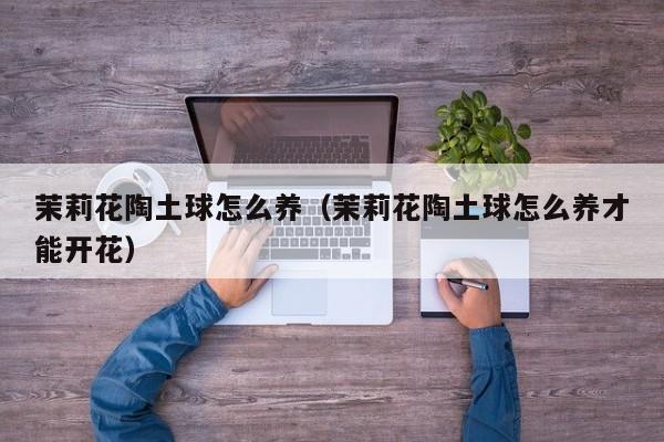 茉莉花陶土球怎么养（茉莉花陶土球怎么养才能开花）