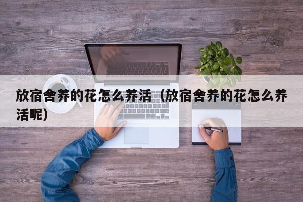 放宿舍养的花怎么养活（放宿舍养的花怎么养活呢）