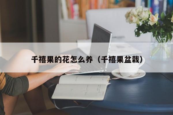 千禧果的花怎么养（千禧果盆栽）