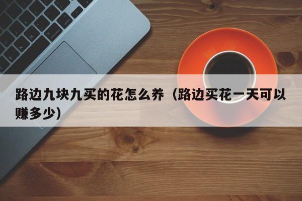 路边九块九买的花怎么养（路边买花一天可以赚多少）