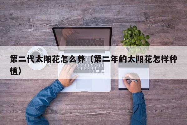 第二代太阳花怎么养（第二年的太阳花怎样种植）