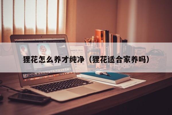 狸花怎么养才纯净（狸花适合家养吗）