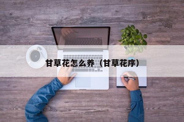 甘草花怎么养（甘草花序）