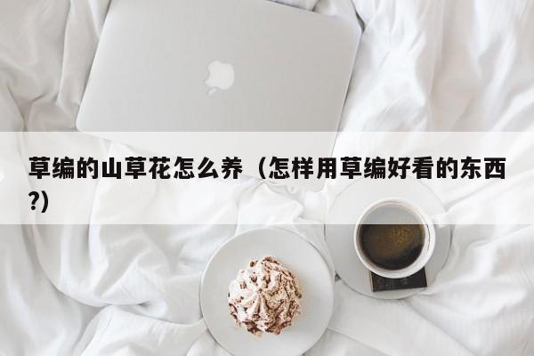 草编的山草花怎么养（怎样用草编好看的东西?）