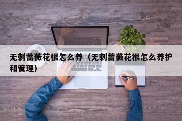 无刺蔷薇花根怎么养（无刺蔷薇花根怎么养护和管理）