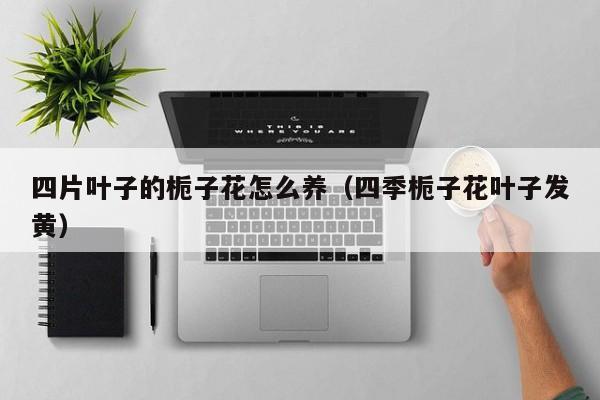 四片叶子的栀子花怎么养（四季栀子花叶子发黄）