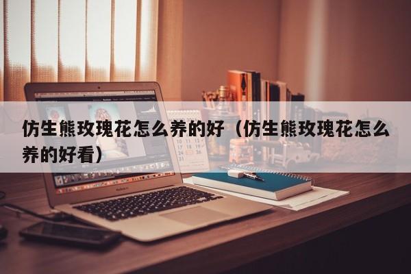 仿生熊玫瑰花怎么养的好（仿生熊玫瑰花怎么养的好看）