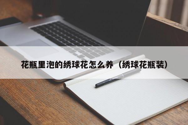 花瓶里泡的绣球花怎么养（绣球花瓶装）