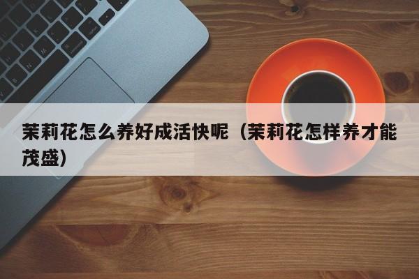 茉莉花怎么养好成活快呢（茉莉花怎样养才能茂盛）