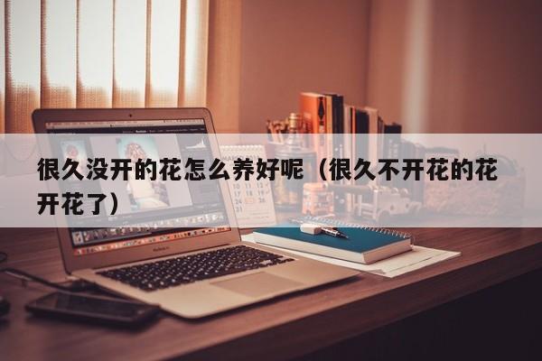 很久没开的花怎么养好呢（很久不开花的花 开花了）