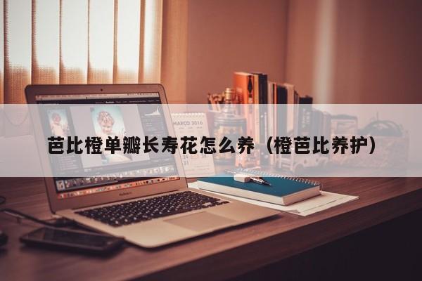 芭比橙单瓣长寿花怎么养（橙芭比养护）
