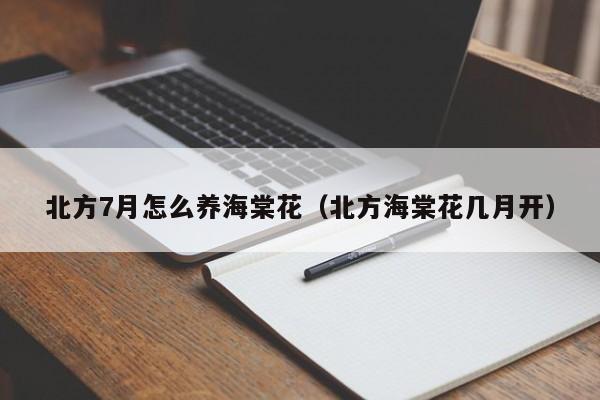 北方7月怎么养海棠花（北方海棠花几月开）