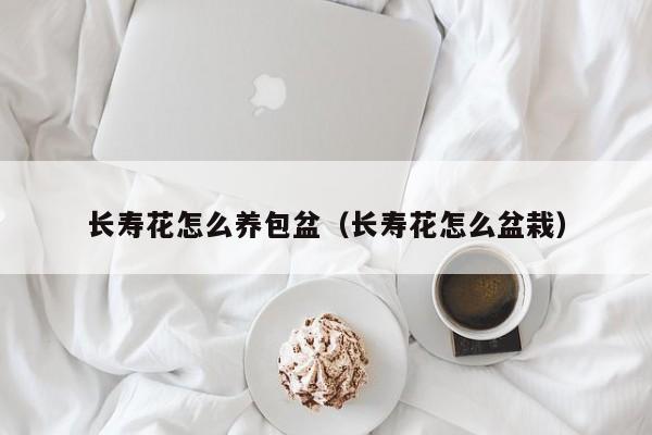 长寿花怎么养包盆（长寿花怎么盆栽）
