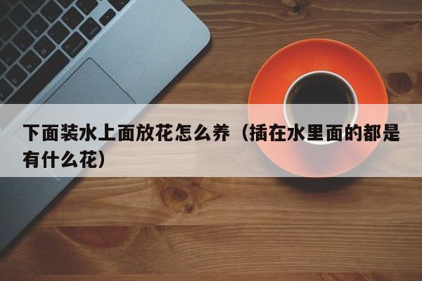 下面装水上面放花怎么养（插在水里面的都是有什么花）