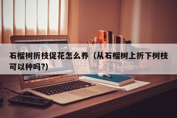 石榴树折枝促花怎么养（从石榴树上折下树枝可以种吗?）
