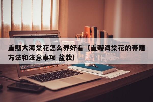 重瓣大海棠花怎么养好看（重瓣海棠花的养殖方法和注意事项 盆栽）