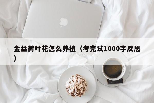 金丝荷叶花怎么养植（考完试1000字反思）