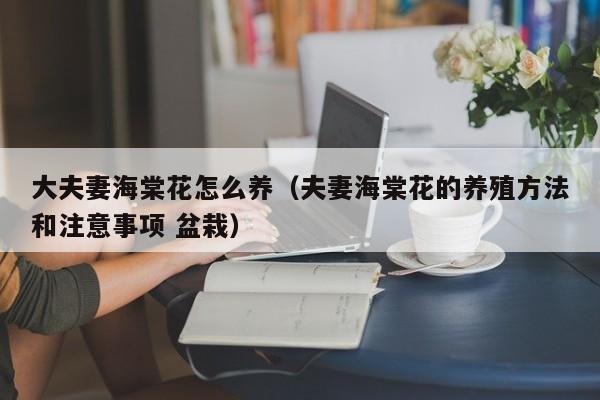 大夫妻海棠花怎么养（夫妻海棠花的养殖方法和注意事项 盆栽）